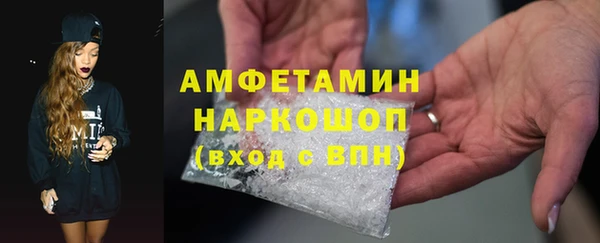 сатива Ельня