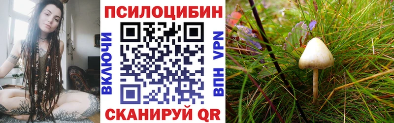 блэк спрут зеркало  Новосиль  Псилоцибиновые грибы Cubensis 